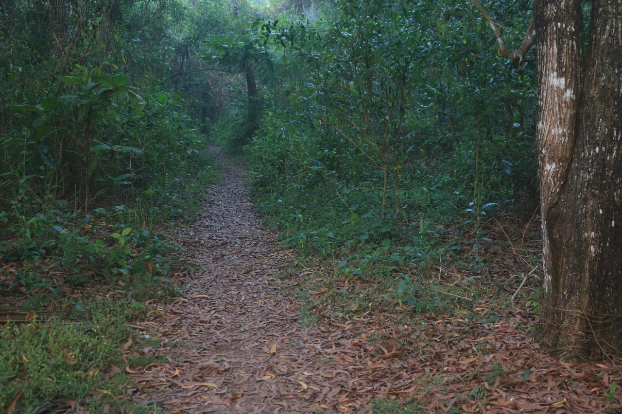 Arakkal Heritage Марарикулам Экстерьер фото